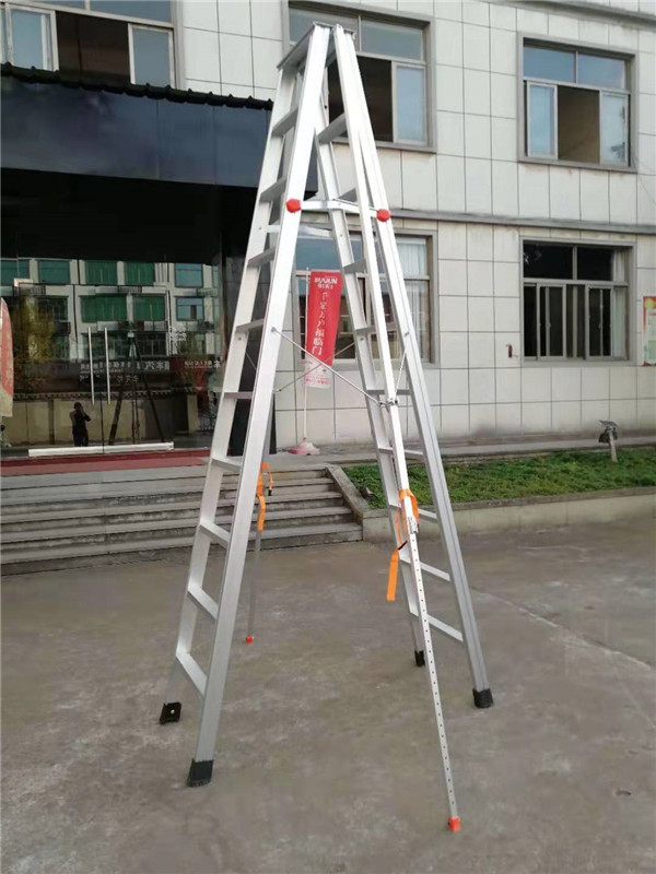 芭乐视频网页版采购供应商.jpg